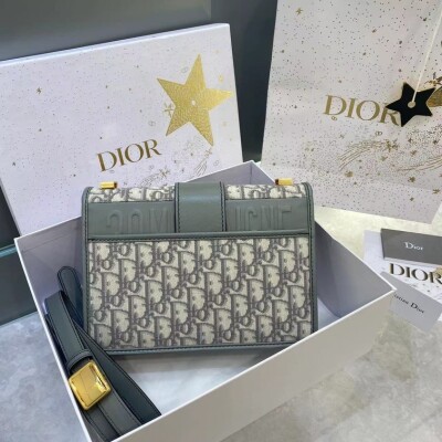 Dior 30 Montaigne Gray Ss2022