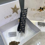 Dior Clutch Oblique With Chain Ss2022