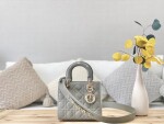 Dior Lady Abcdior Gray Ss2022