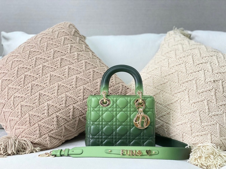Dior Lady Abcdior Ombre Green Ss2022