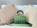 Dior Lady Abcdior Ombre Green Ss2022
