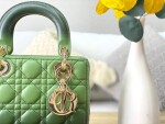 Dior Lady Abcdior Ombre Green Ss2022