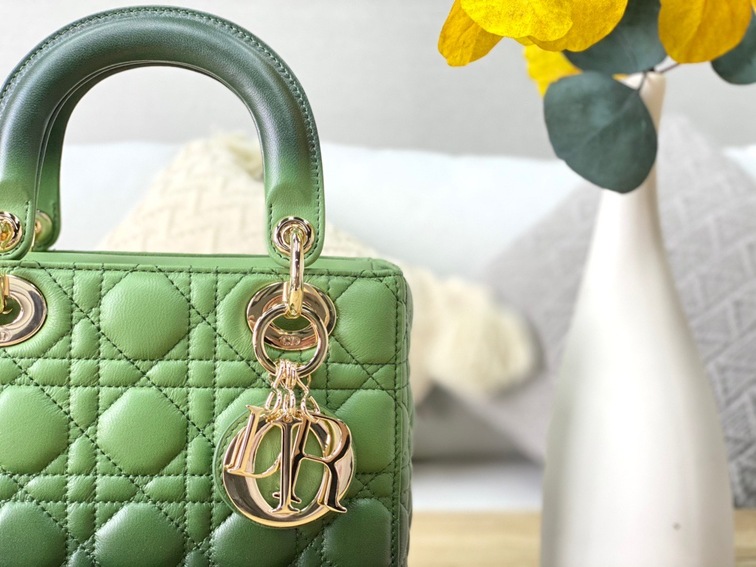 Dior Lady Abcdior Ombre Green Ss2022
