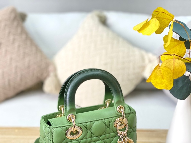 Dior Lady Abcdior Ombre Green Ss2022