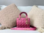 Dior Lady Abcdior Ombre Pin Ss2022