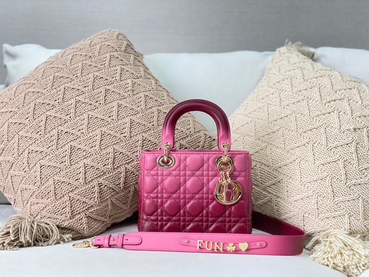 Dior Lady Abcdior Ombre Pin Ss2022