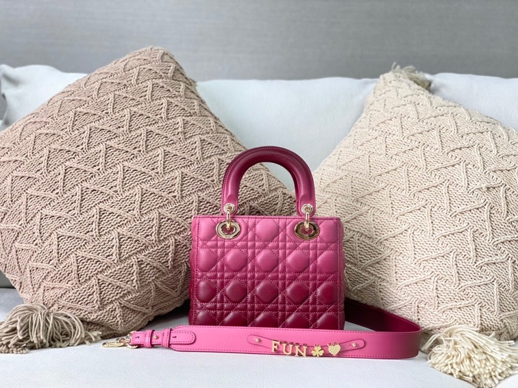 Dior Lady Abcdior Ombre Pin Ss2022