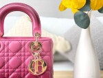 Dior Lady Abcdior Ombre Pin Ss2022