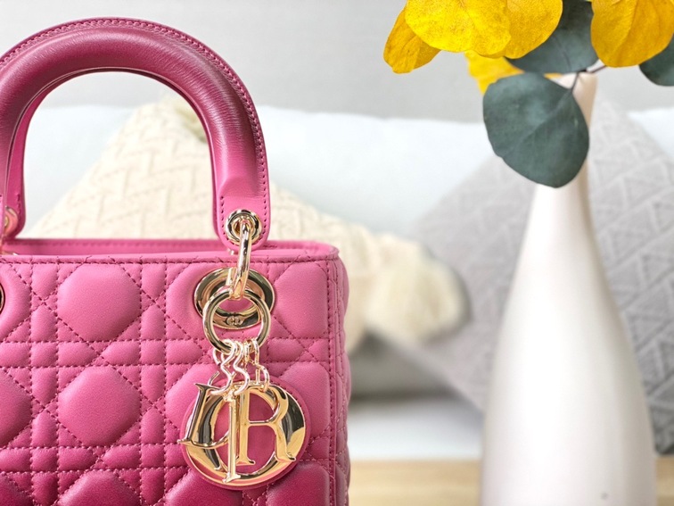Dior Lady Abcdior Ombre Pin Ss2022