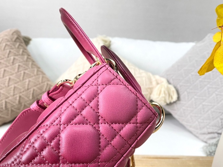 Dior Lady Abcdior Ombre Pin Ss2022