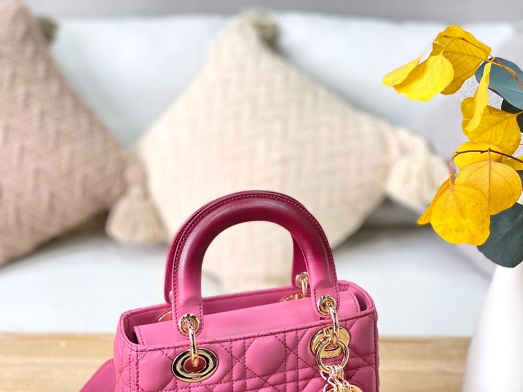 Dior Lady Abcdior Ombre Pin Ss2022