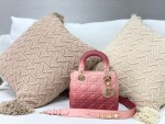 Dior Lady Abcdior Ombre Pink Ss2022