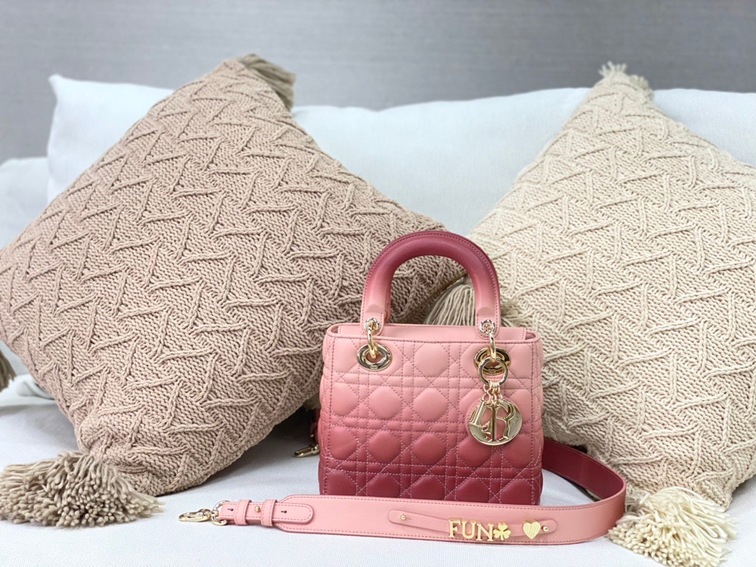 Dior Lady Abcdior Ombre Pink Ss2022