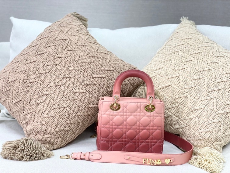 Dior Lady Abcdior Ombre Pink Ss2022
