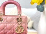 Dior Lady Abcdior Ombre Pink Ss2022