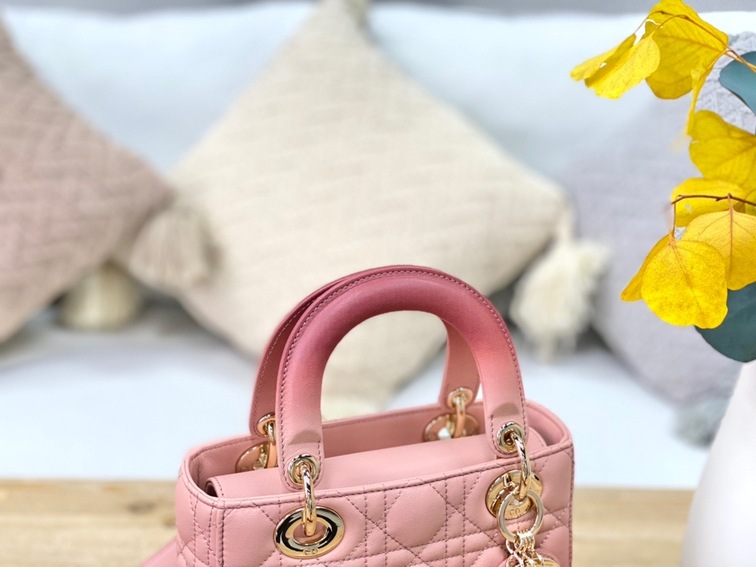 Dior Lady Abcdior Ombre Pink Ss2022