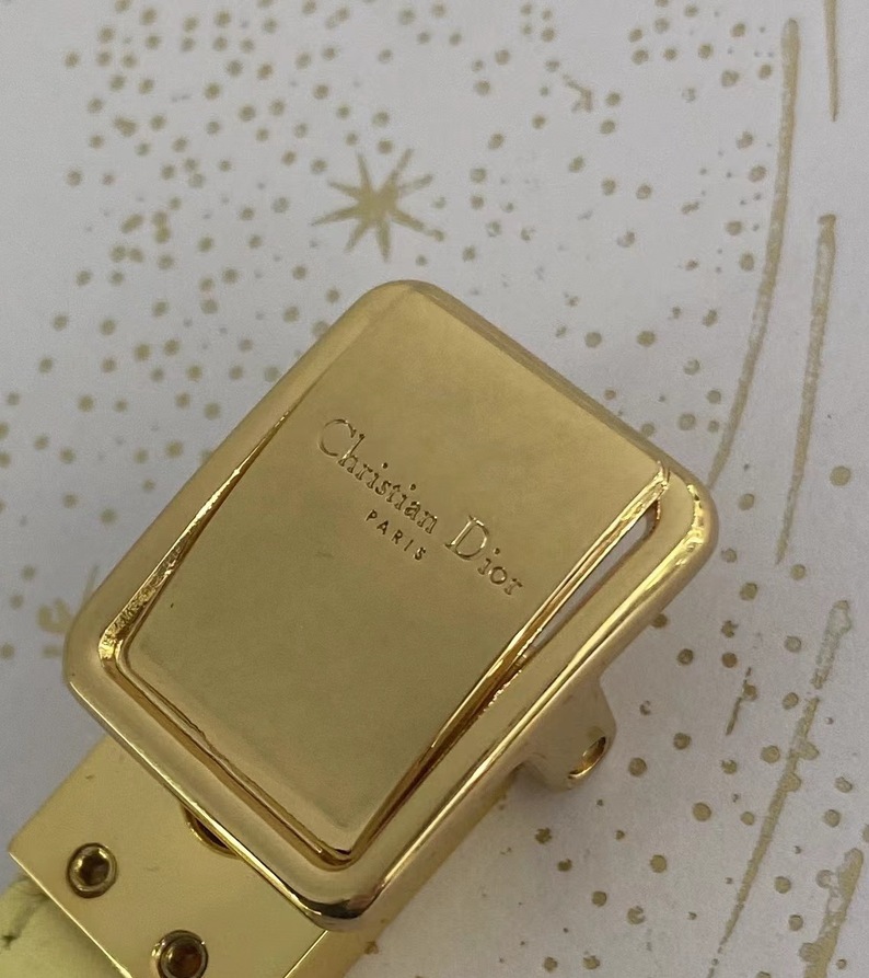 Dior Mini Bobby Lightly Yellow Ss2022
