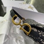 Dior Mini Saddle Oblique Ss2022