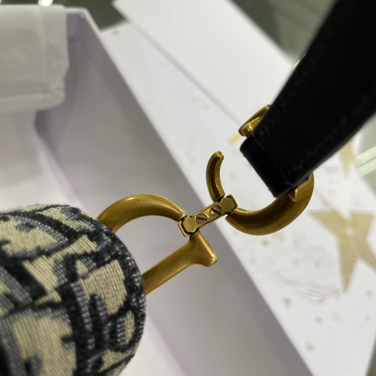 Dior Mini Saddle Oblique Ss2022