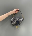 Dior Mini Saddle Oblique Ss2022