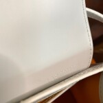 Goyard Saigon Mini Bag White Ss2022