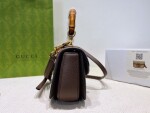 Gucci Bamboo Handbag Dark Brown Ss2022