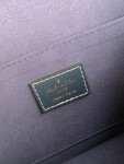 Lv Dauphine 25 Denim Mono Bag Ss2022