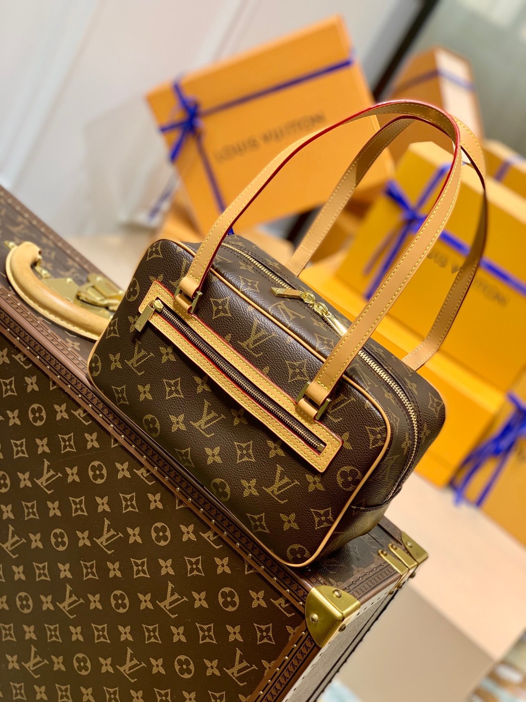 Lv Handbag Mono Brown Ss2022