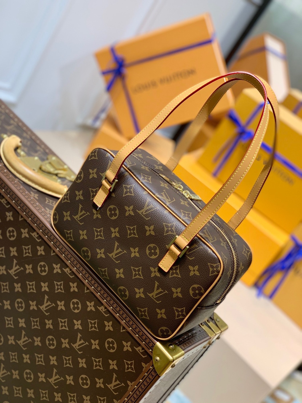 Lv Handbag Mono Brown Ss2022