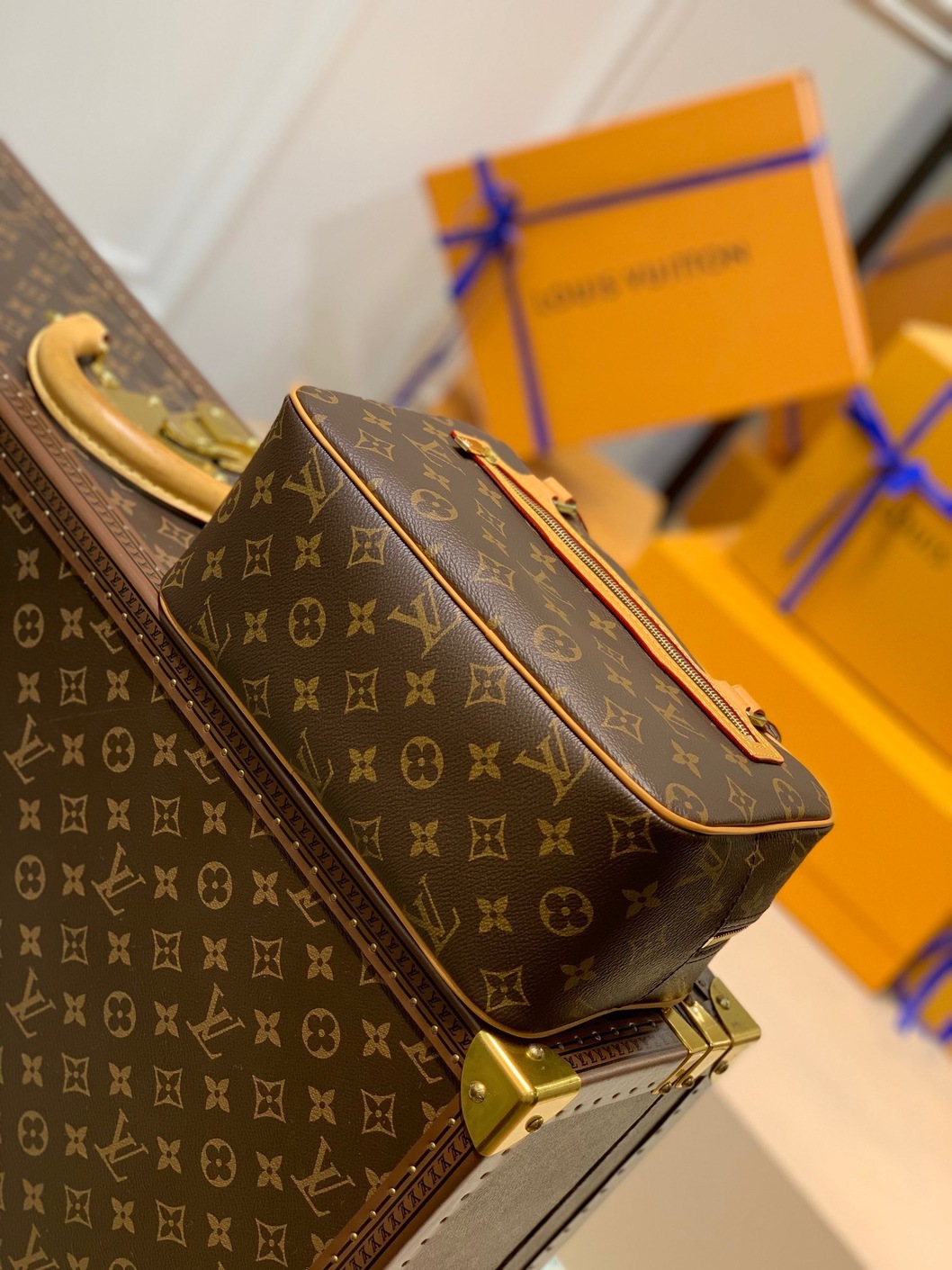 Lv Handbag Mono Brown Ss2022