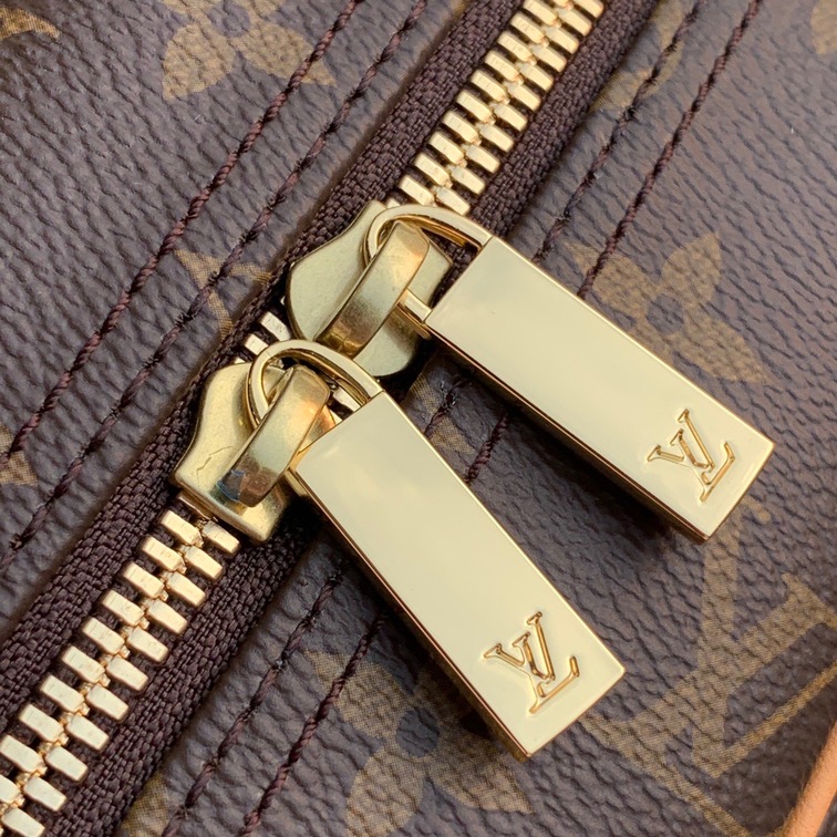 Lv Handbag Mono Brown Ss2022