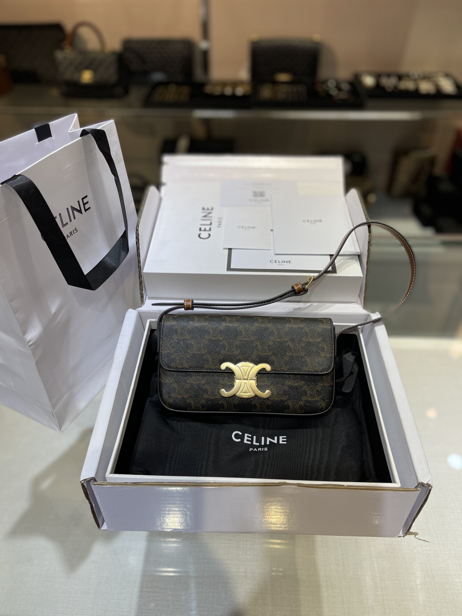 Celine Triomphe Bag Mono 22