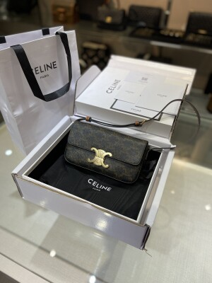 Celine Triomphe Bag Mono 22