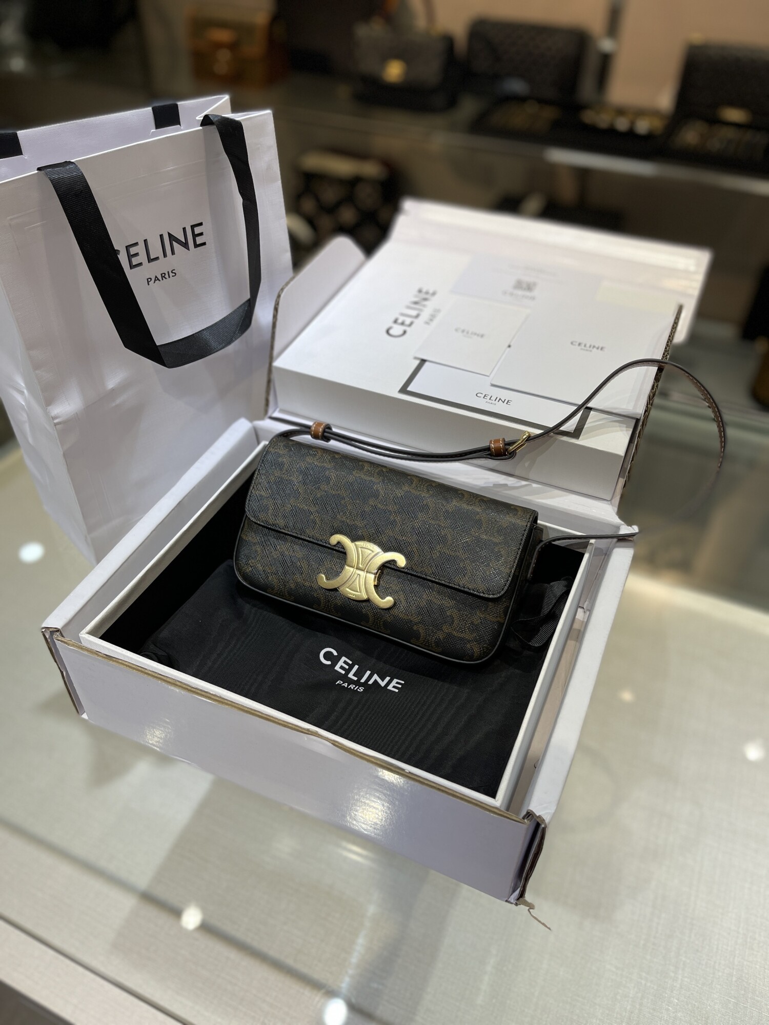 Celine Triomphe Bag Mono 22