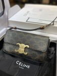 Celine Triomphe Bag Mono 22