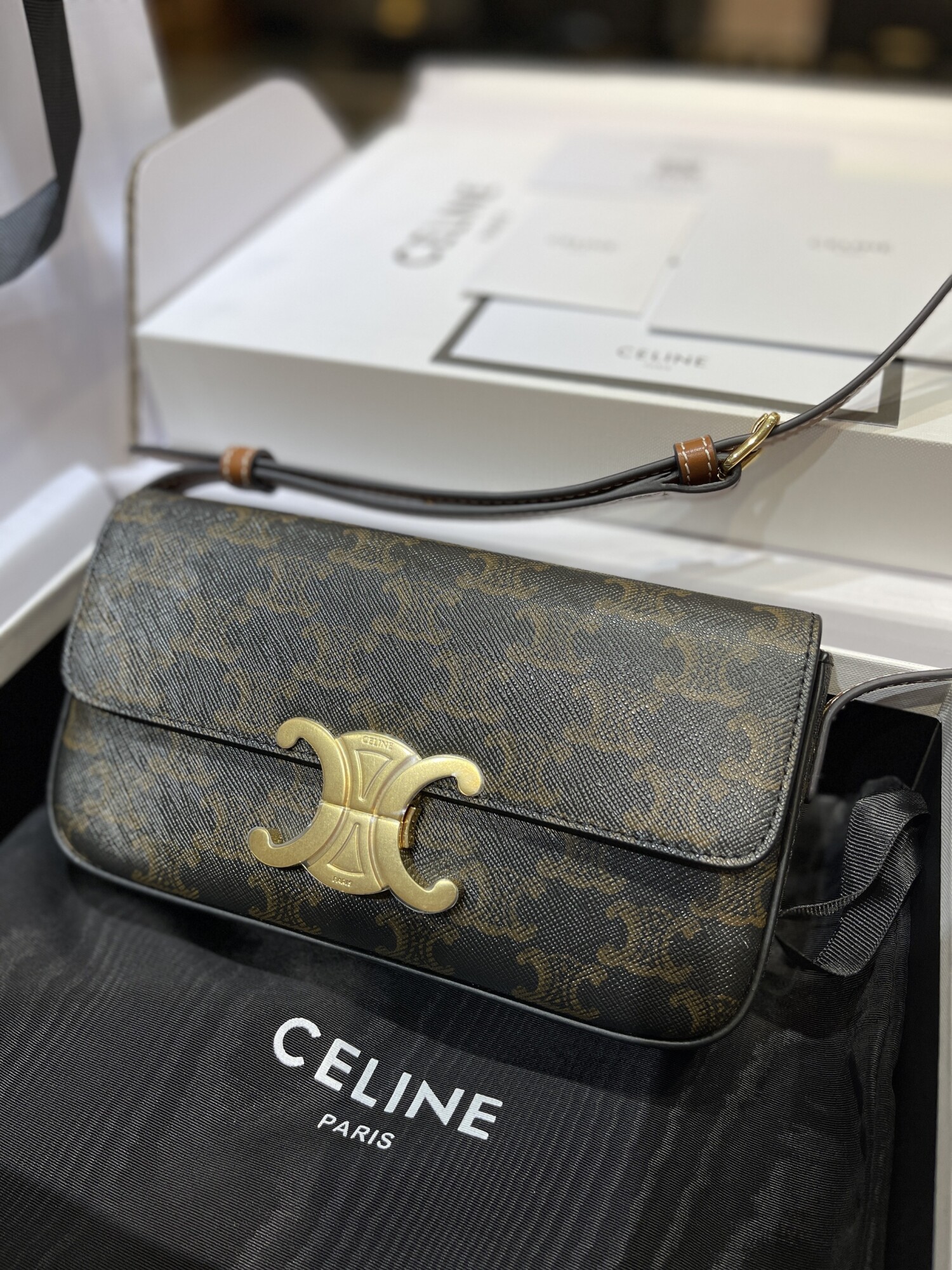 Celine Triomphe Bag Mono 22