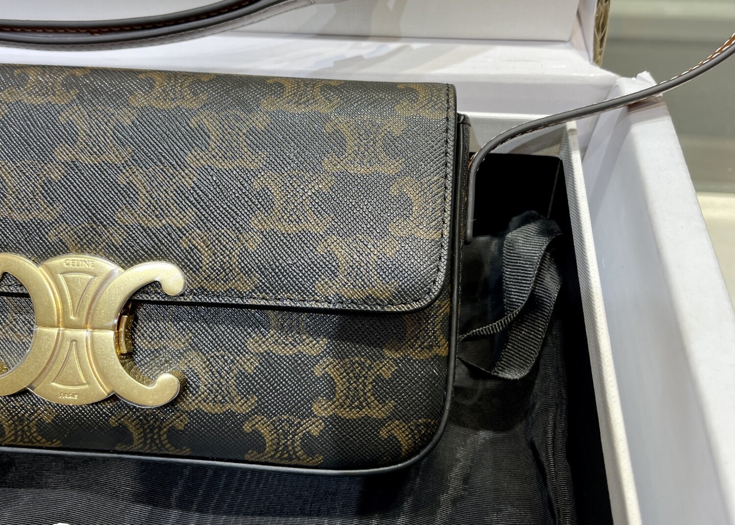 Celine Triomphe Bag Mono 22