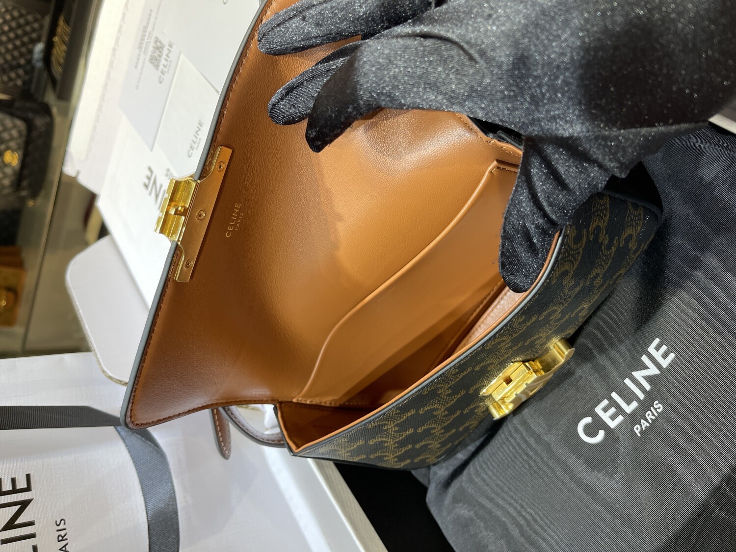 Celine Triomphe Bag Mono 22