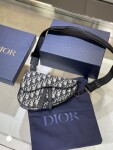 Dior Saddle Oblique