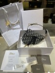 Dior Saddle Yen Ngua