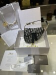 Dior Saddle Yen Ngua