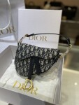Dior Saddle Yen Ngua