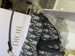 Dior Saddle Yen Ngua