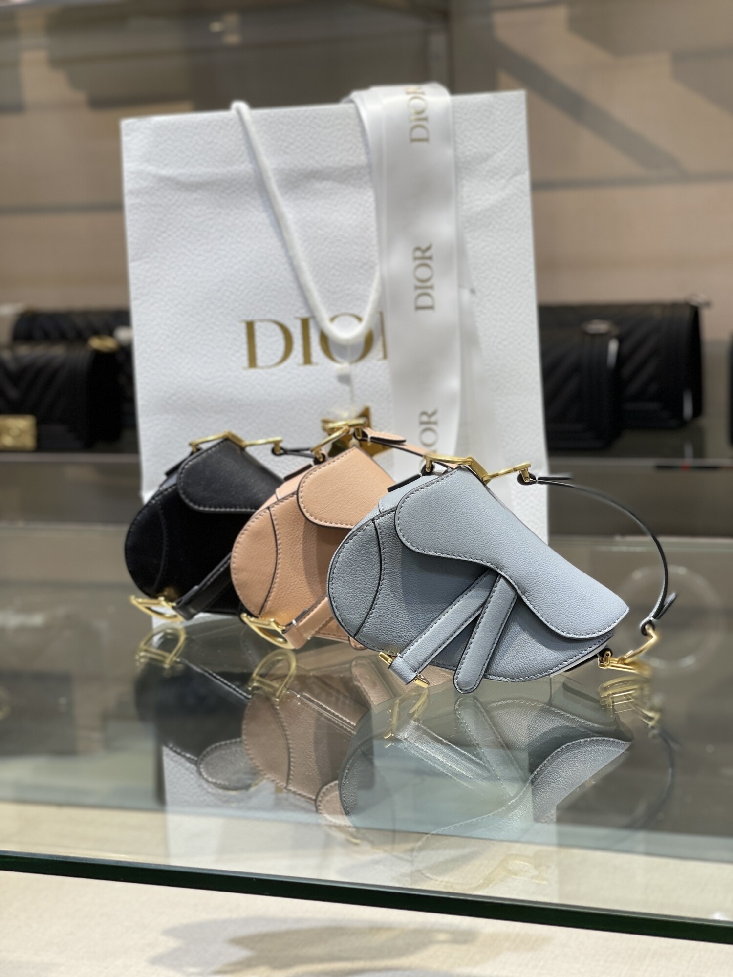Tui Dior Saddle Micro Den
