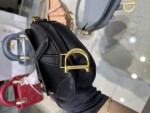 Tui Dior Saddle Micro Den