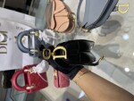 Tui Dior Saddle Micro Den