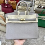 Hermes Birkin Dark Gray 25 Yellow Chain