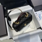 Chanel Coco Handle Black Lizard