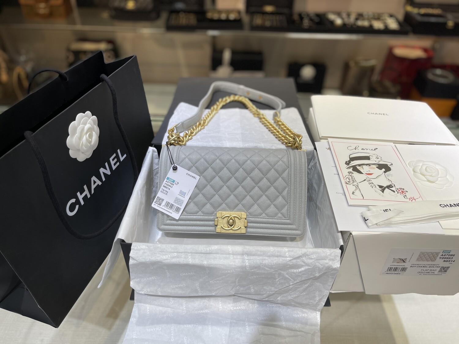 Chanel Leboy 25 Caviar Gray
