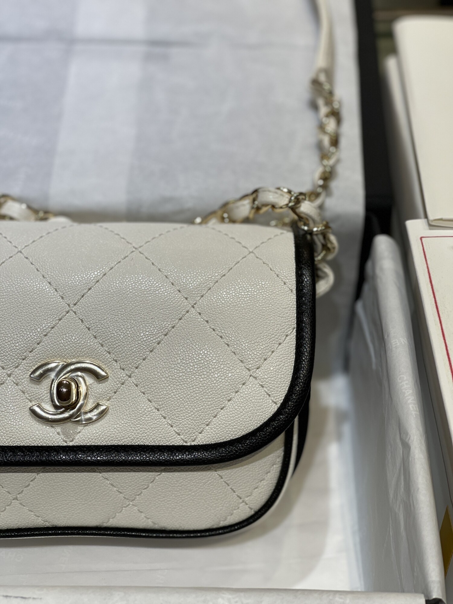 Chanel Mini Bag 20 Black N White
